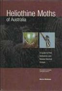 Heliothine Moths of Australia A Reference Guide to Pest Bollworms & Related Noctuid Groups cover
