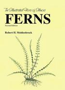 Ferns cover