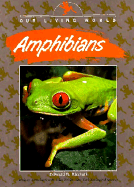 Amphibians cover
