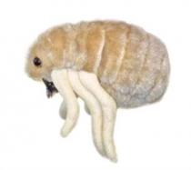 GiantMicrobes-Flea cover