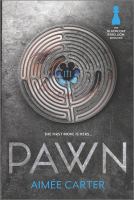 Pawn cover