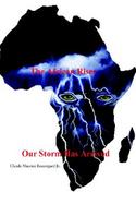 The African Rises cover