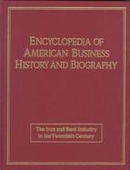 The Iron and Steel Industry in the 20th Century cover