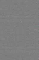 The Stormcaller cover