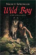 Wild Boy A Tale of Rowan Hood cover