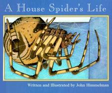 A House Spider's Life cover