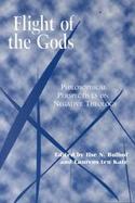 Flight of the Gods Philosophical Perspectives on Negative Theology cover