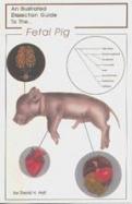 An Illustrated Dissection Guide To The Pig cover