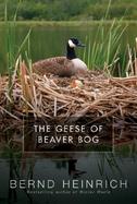 The Geese Of Beaver Bog cover