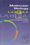 Molecular Biology Labfax I  Recombinant DNA cover