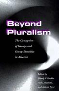 Beyond Pluralism The Conception of Groups and Group Identities in America cover