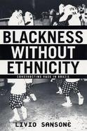 Blackness Without Ethnicity Constructing Race in Brazil cover