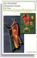 An Illustrated Dissection Guide To The Grasshopper cover