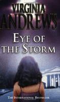 Eye of the Storm (Hudson Family, Book 3) cover