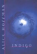 Indigo cover