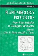 Plant Virology Protocols From Virus Isolation to Transgenic Resistance cover