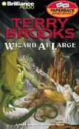 Wizard at Large cover