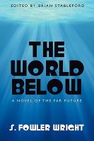 The World Below : A Novel of the Far Future cover