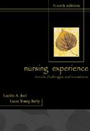 The Nursing Experience Trends, Challenges, and Transitions cover