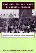 Gays and Lesbians in the Democratic Process Public Policy, Public Opinion, and Political Representation cover