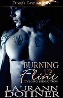 Burning up Flint cover