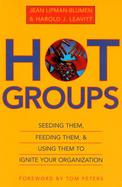 Hot Groups: Seeding Them, Feeding Them, and Using Them to Ignite Your Organization cover