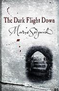 The Dark Flight Down cover