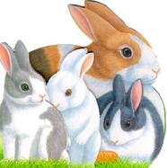 Bouncing Bunnies cover