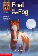 Foal in the Fog cover