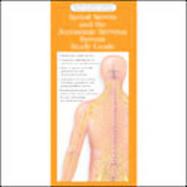 Illustrated Pocket Anatomy:Spinal Nerves And The Autonomic Nervous System Study Guide (laminated Card, Single Copy, No Tab) cover