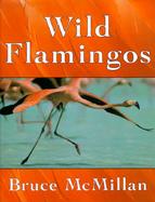 Wild Flamingos cover