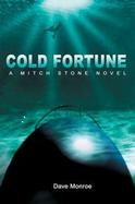 Cold Fortune A Mitch Stone Novel cover