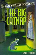 The Big Catnap A Sam the Cat Mystery cover