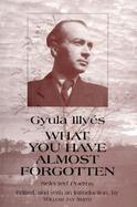 What You Have Almost Forgotten Selected Poems by Gyula Illyes cover