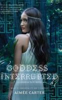 Goddess Interrupted cover