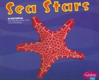 Sea Stars (Under the Sea (Capstone Paperback)) cover
