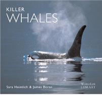 Killer Whales cover