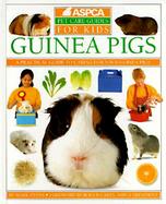 Guinea Pigs cover
