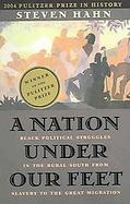 A Nation Under Our Feet Black Political Struggles In The Rural South From Slavery To The Great Migration cover