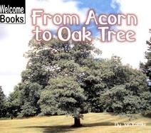 From Acorn to Oak Tree cover