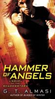 Hammer of Angels : A Novel of Shadowstorm cover