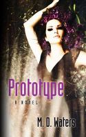 Prototype cover