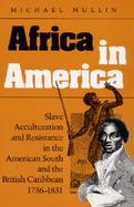 Africa in America Slave Acculturation and Resistance in the American South and the British Caribbean, 1736-1831 cover