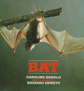 Bats cover