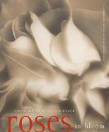 Roses in Bloom cover