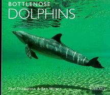 Bottlenose Dolphins cover