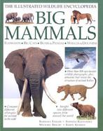 Big Mammals: Elephants, Big Cats, Bears & Pandas, Whales & Dolphins cover