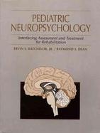 Pediatric Neuropsychology Interfacing Assessment and Treatment for Rehabilitation cover