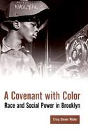 A Covenant with Color: Race and Social Power in Brooklyn, 1636-1990 cover