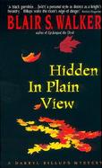 Hidden in Plain View cover